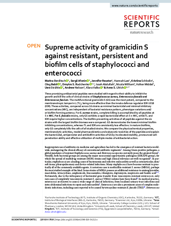 Cover der Publikation