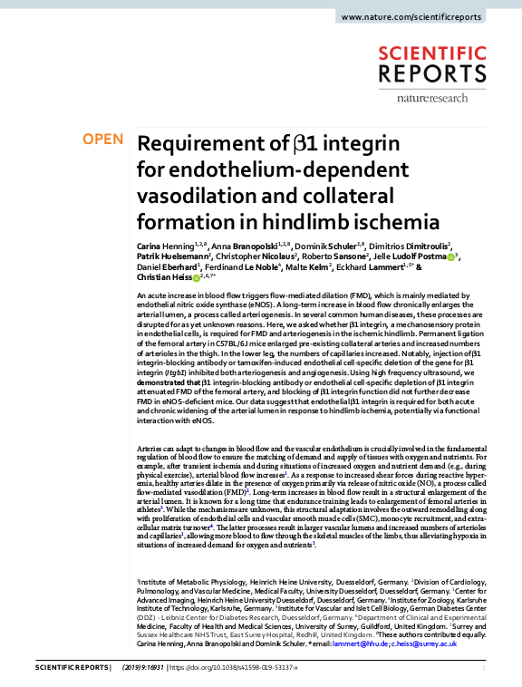 Cover der Publikation