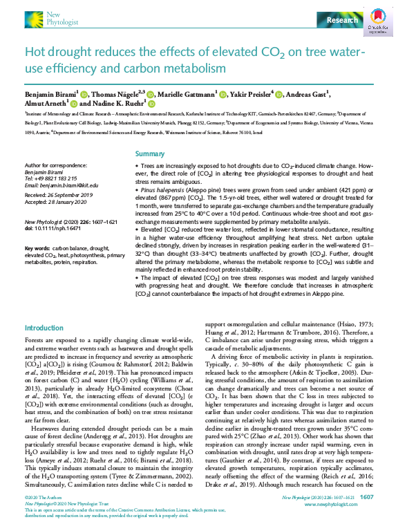 Cover der Publikation