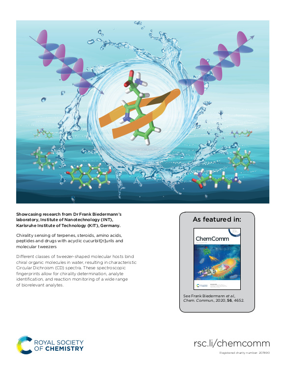 Cover der Publikation