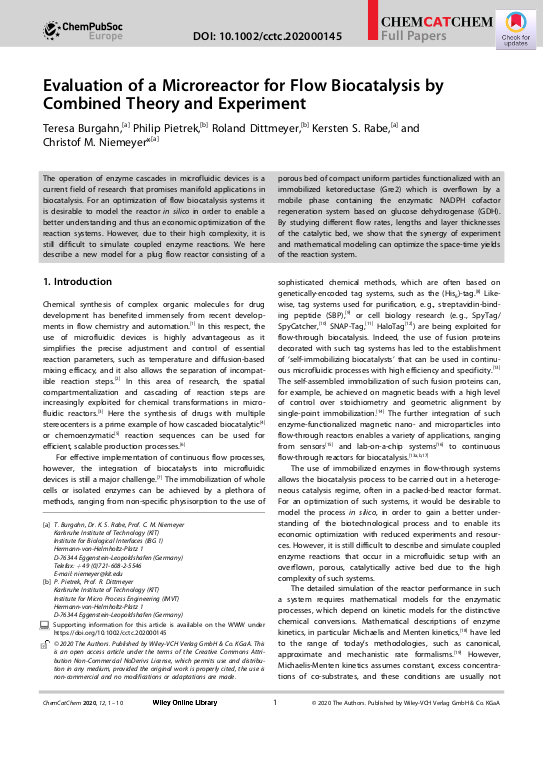 Cover der Publikation