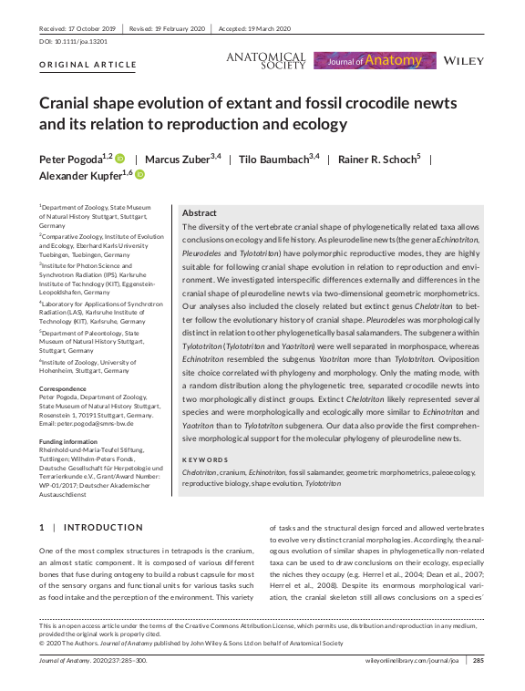 Cover der Publikation