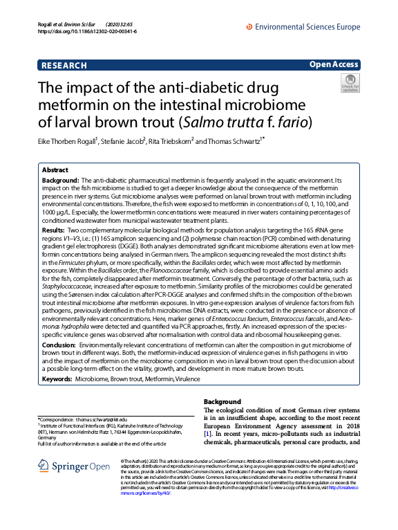 Cover der Publikation