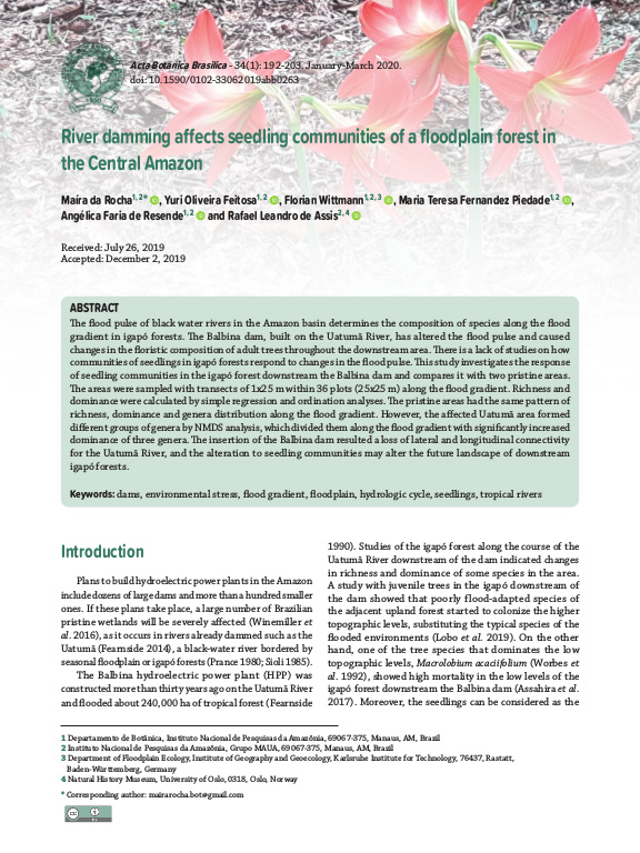 Cover der Publikation