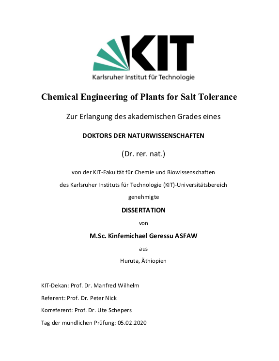 Cover der Publikation