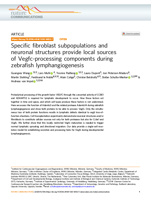 Cover der Publikation