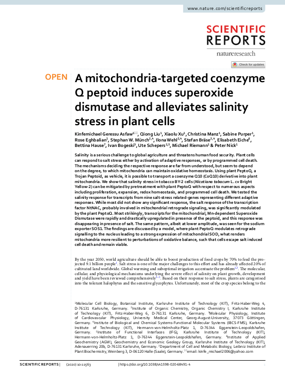 Cover der Publikation