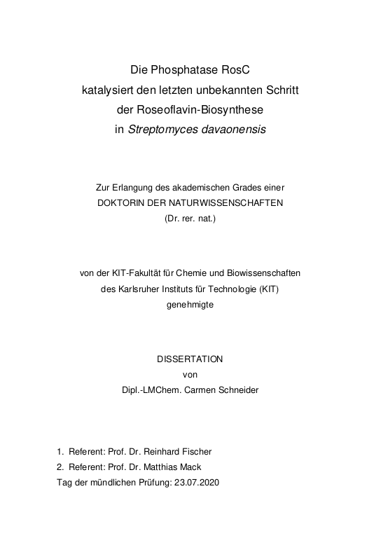 Cover der Publikation