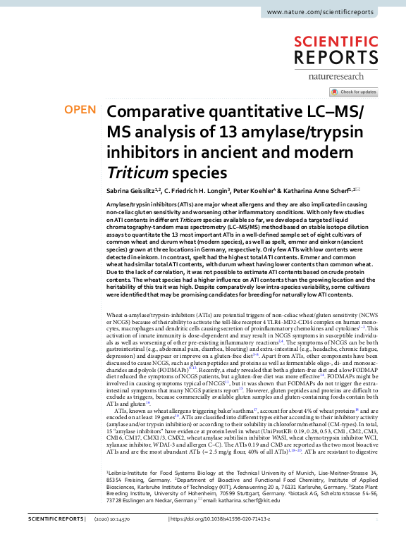 Cover der Publikation