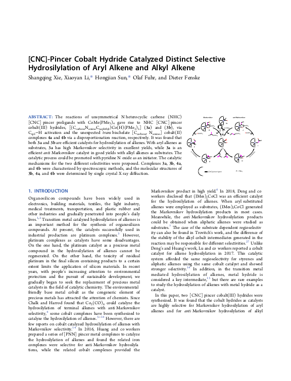 Cover der Publikation