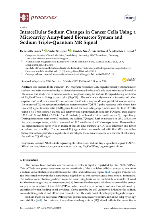 Cover der Publikation