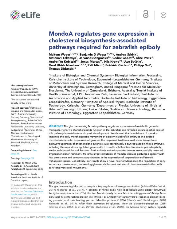 Cover der Publikation