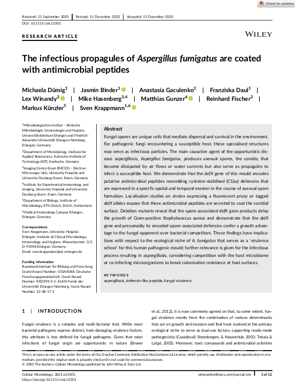 Cover der Publikation