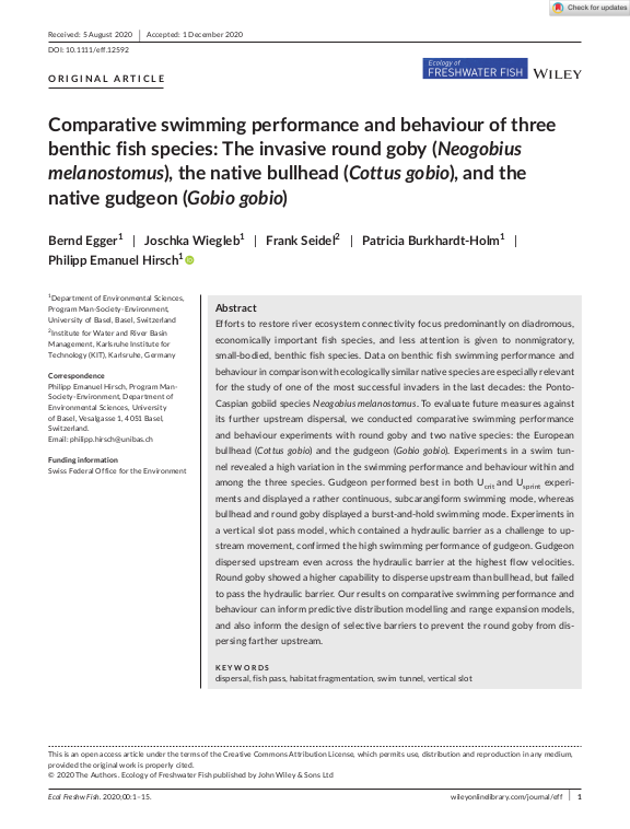 Cover der Publikation