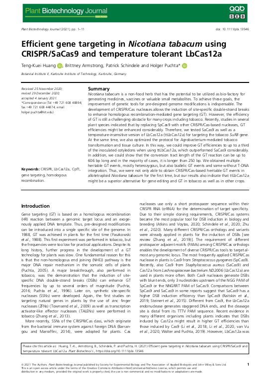 Cover der Publikation