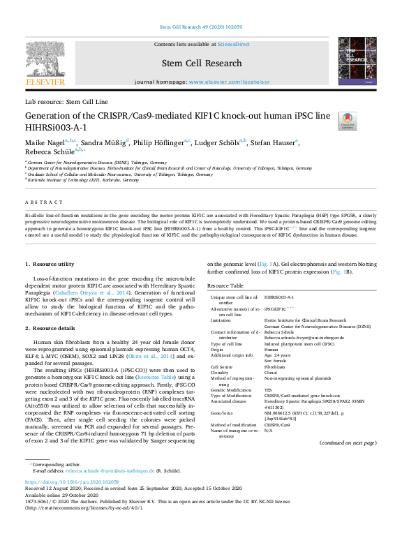 Cover der Publikation