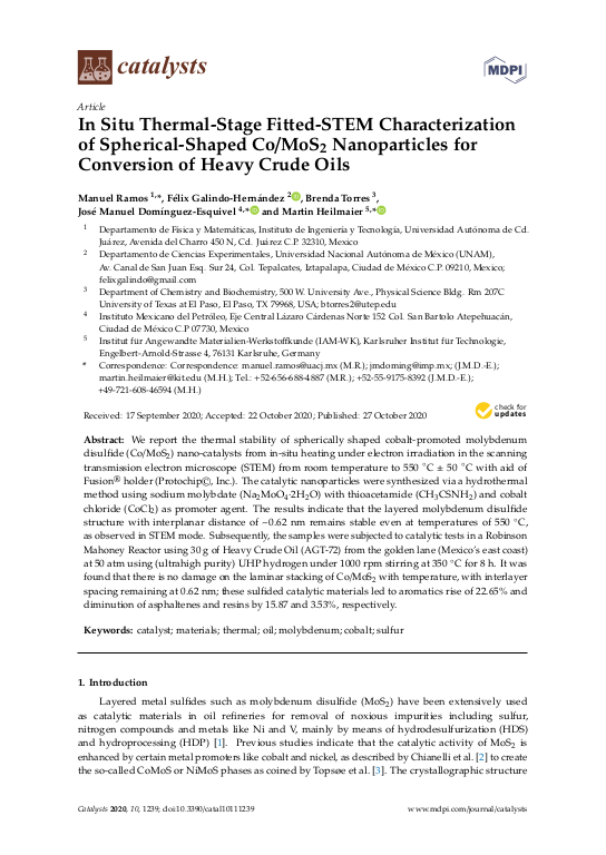 Cover der Publikation