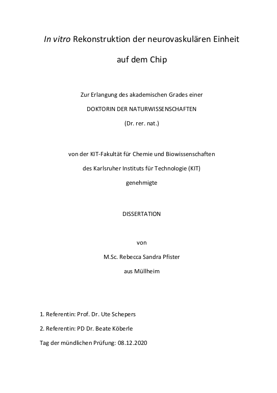 Cover der Publikation