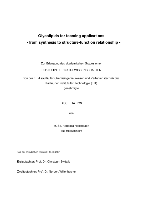 Cover der Publikation