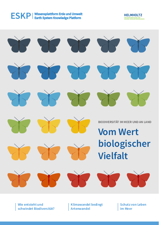 Cover der Publikation