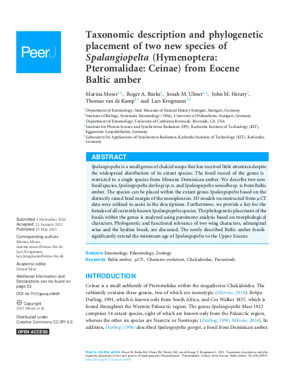 Cover der Publikation