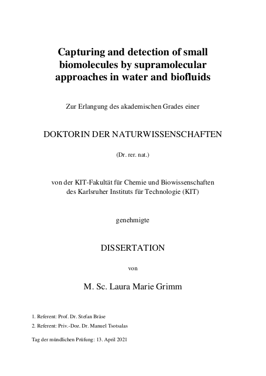 Cover der Publikation