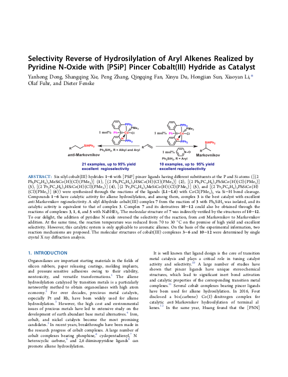 Cover der Publikation