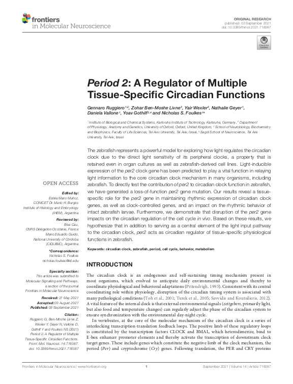 Cover der Publikation