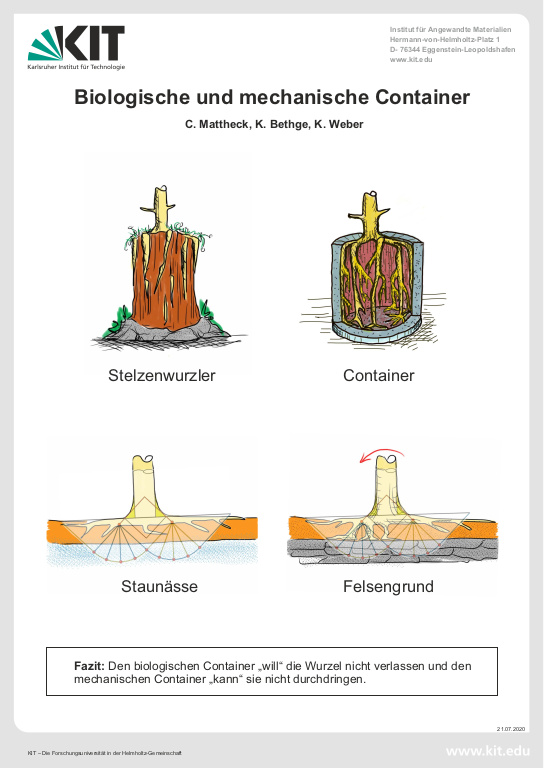 Cover der Publikation