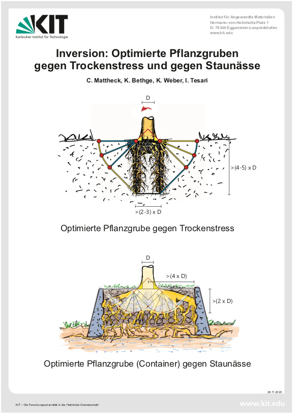 Cover der Publikation