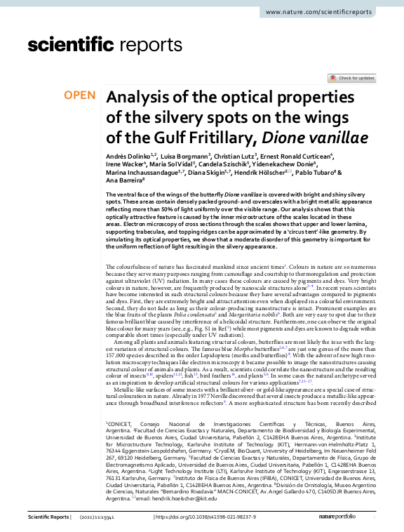 Cover der Publikation