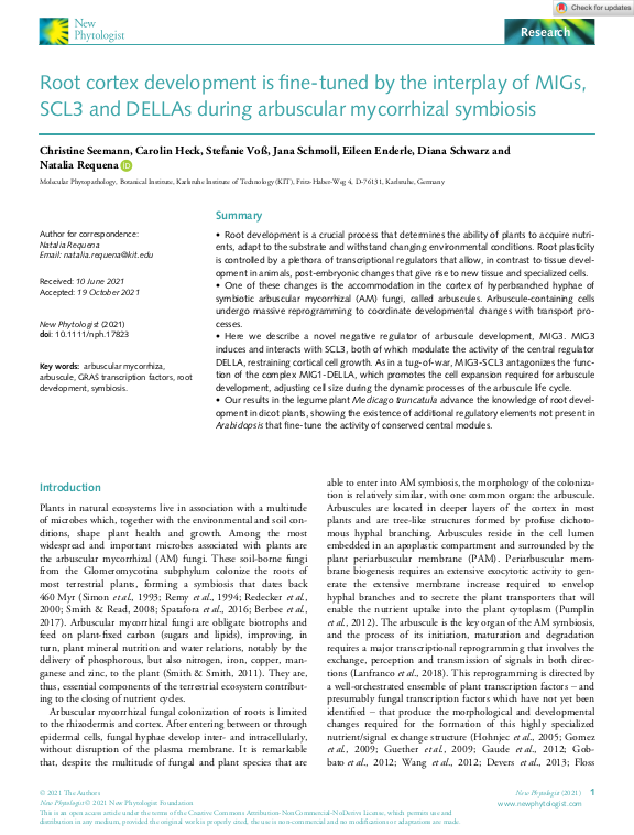 Cover der Publikation