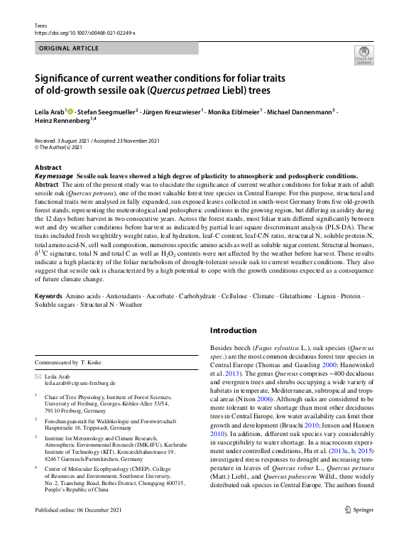 Cover der Publikation