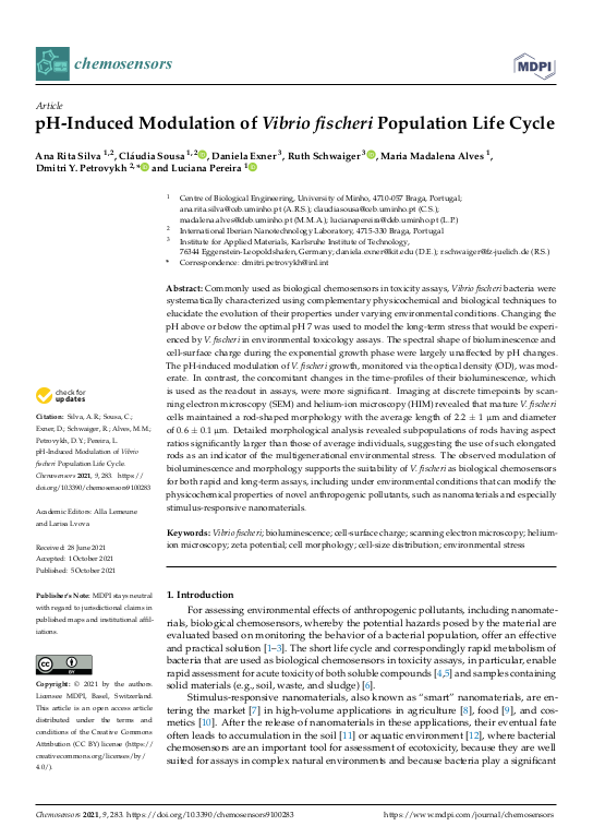 Cover der Publikation