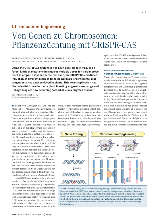 Cover der Publikation