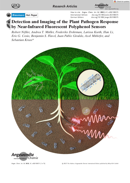 Cover der Publikation
