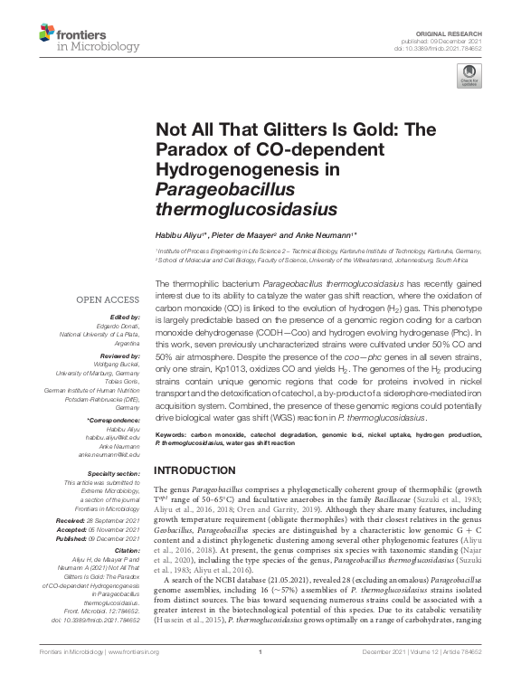 Cover der Publikation