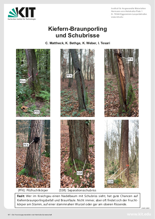 Cover der Publikation