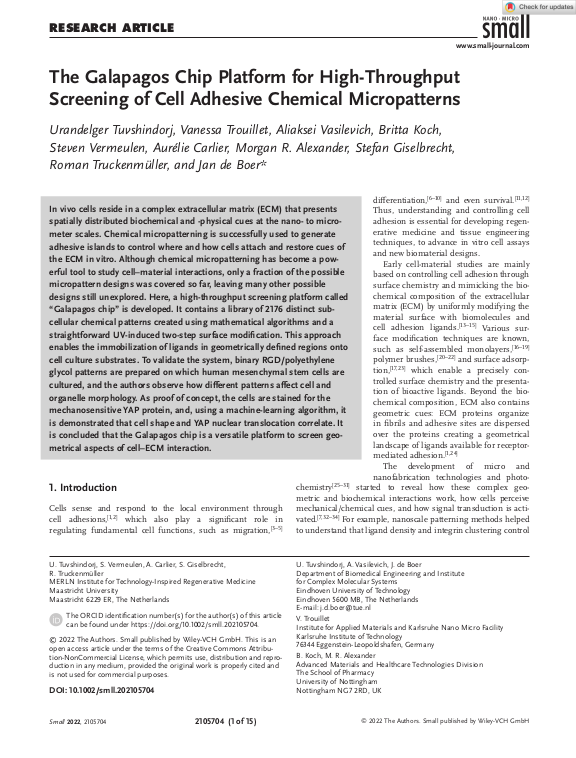 Cover der Publikation