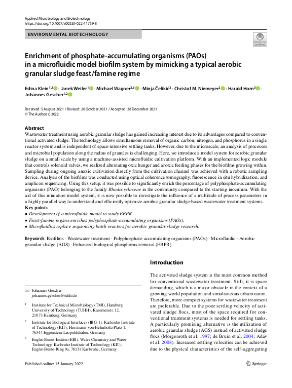 Cover der Publikation