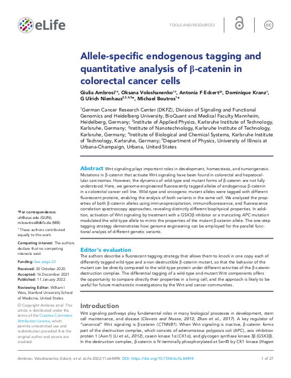 Cover der Publikation