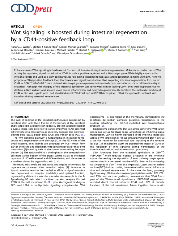 Cover der Publikation