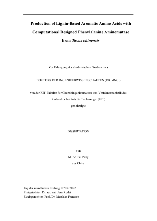 Cover der Publikation