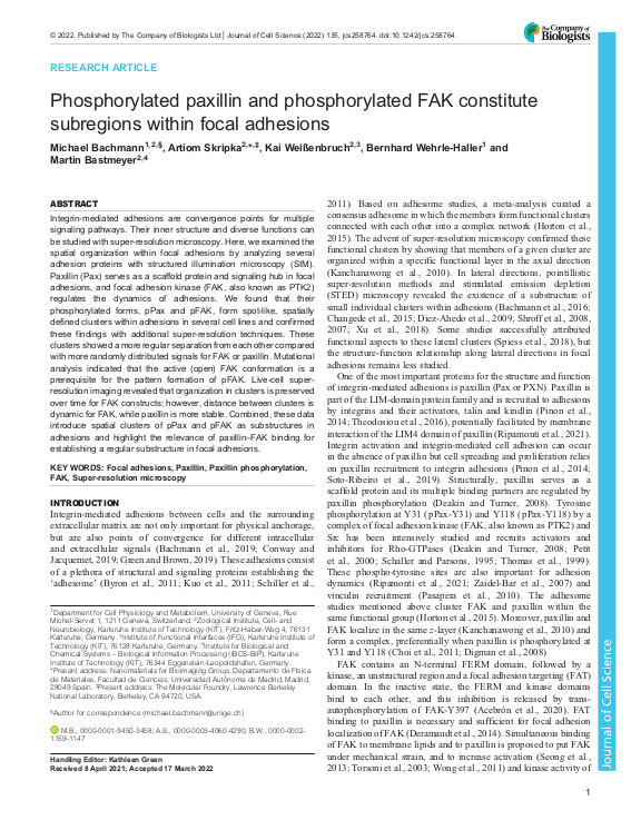 Cover der Publikation