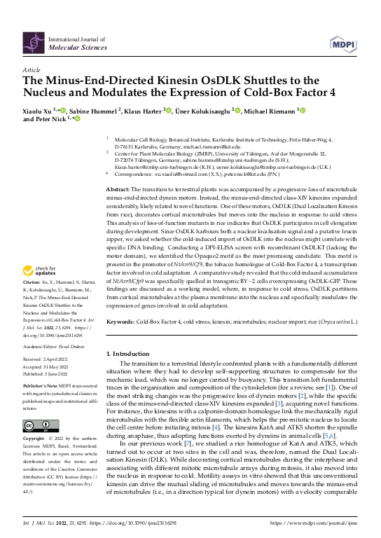 Cover der Publikation