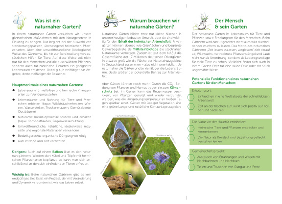 Cover der Publikation
