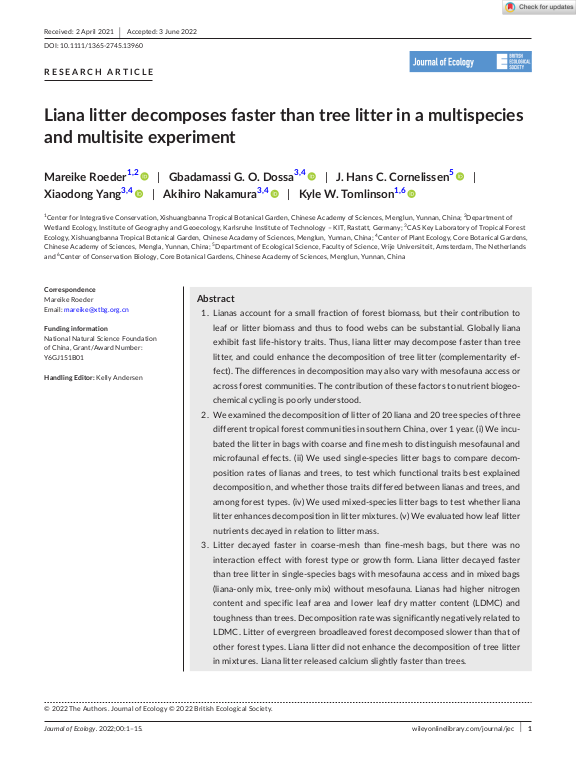 Cover der Publikation