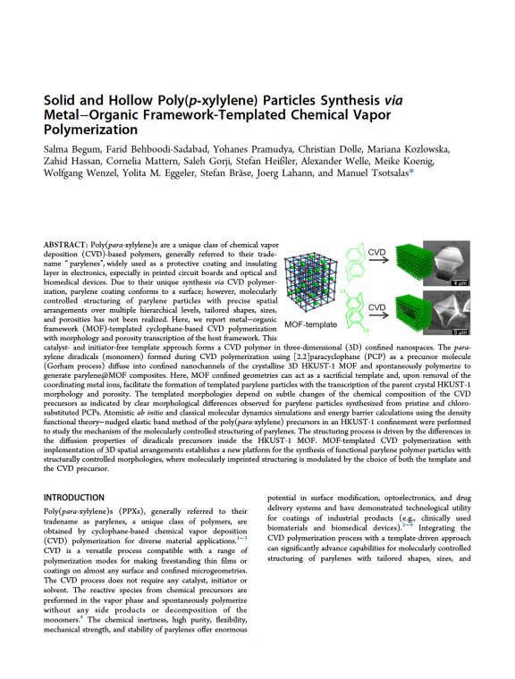 Cover der Publikation