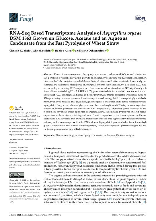 Cover der Publikation