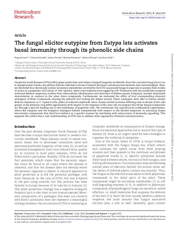 The fungal elicitor eutypine from Eutypa lata activates basal